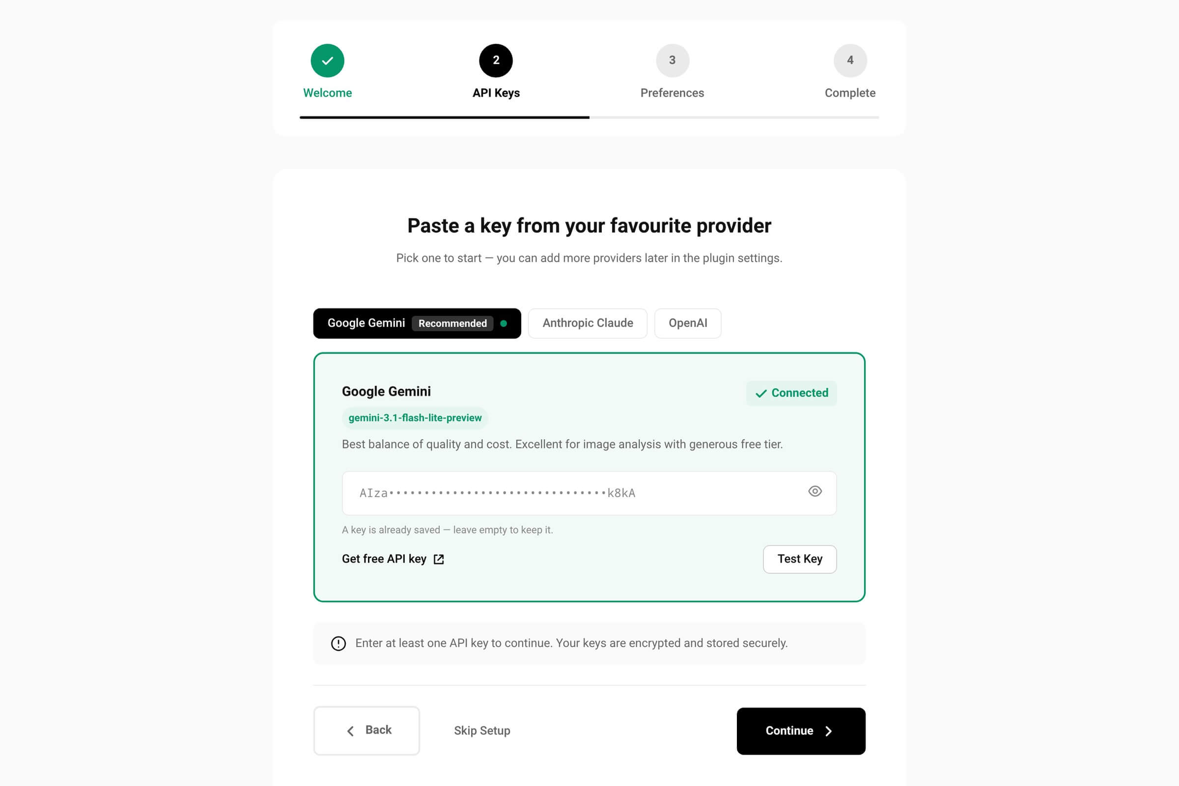 Provider key sub-screen with three provider tabs, Google Gemini open, a key field and a Test Key button